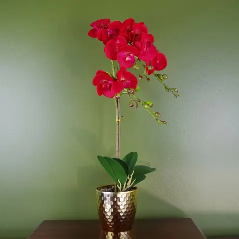 50cm Phalaenopsis Orchid Artificial - Red Leopard - Gold Pot – image 1