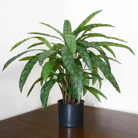 60cm Variegated Artificial Calathea Plant – image 1