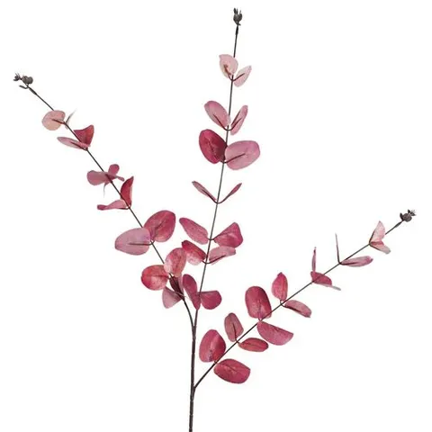 80cm Pink Eucalyptus Foliage Stem – image 1