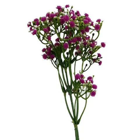 55cm Gypsophila Pink Stem – image 1
