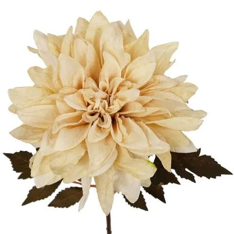 55cm Dahlia Flower Stem - Dusty Cream – image 1