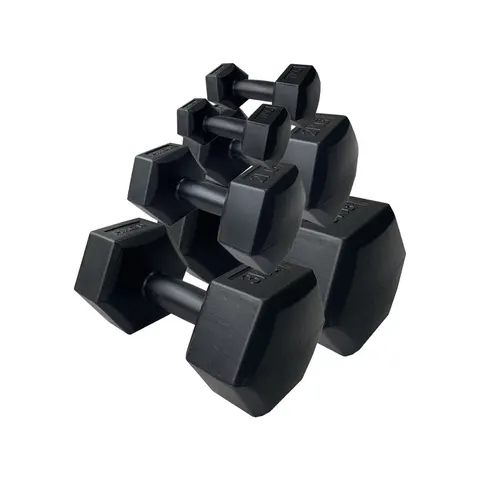HXGN 12kg Hex Dumbbell Set – image 1