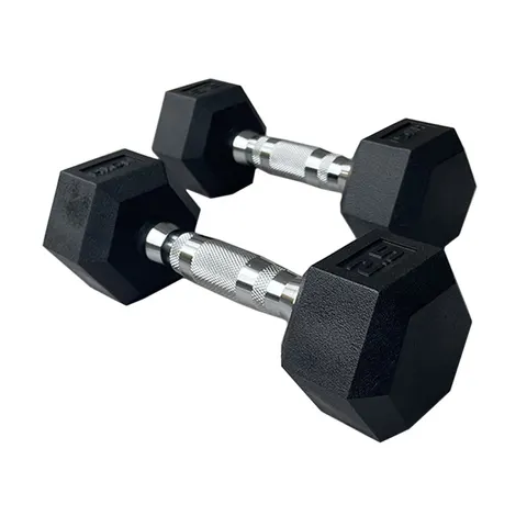 HXGN Pro Hex Dumbbells 2 x 2.5kg – image 1