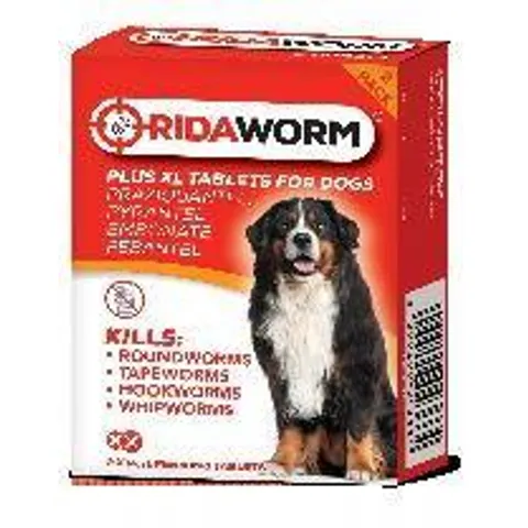 Ridaworm XL Dog Worming Tablets 10x2s – image 1