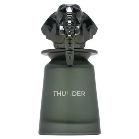 French Avenue Thunder Eau de Parfum unisex - 100 ml – immagine 1