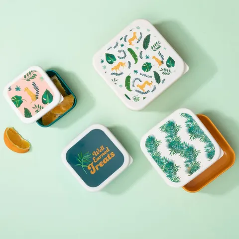 Set of 4 Winter Palm Lunch Boxes | Mimo – image 2