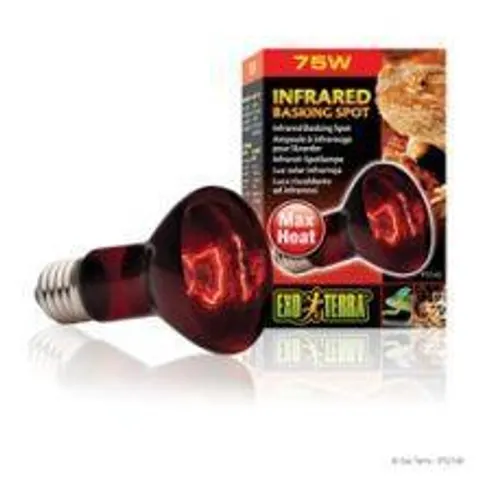 Exo Terra Infrared Basking Spot - 100w – image 2