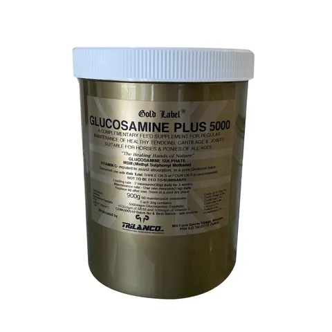 Gold Label Glucosamine Plus 5000 – image 2