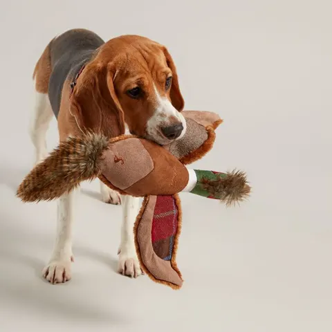 Joules Pheasant Dog Toy – image 2