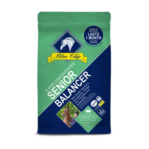 Blue Chip SC Senior Balancer 3kg – image 2