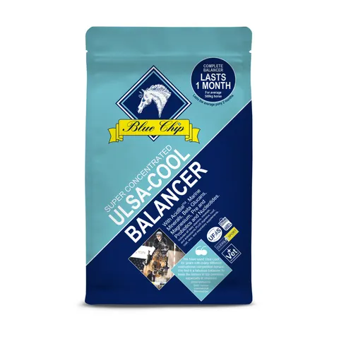 Blue Chip SC Ulsa-Cool Balancer 3kg – image 2