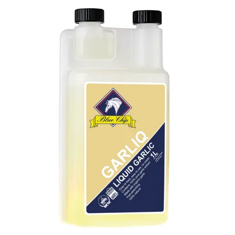 Blue Chip Garliq – image 2