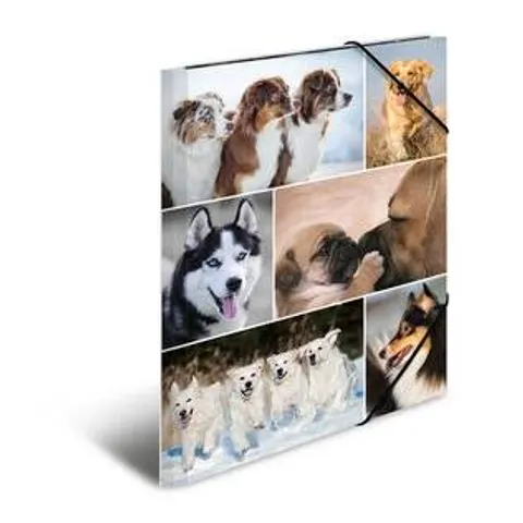 HERMA Sammelmappe A4 Hunde Pappe – Bild 2
