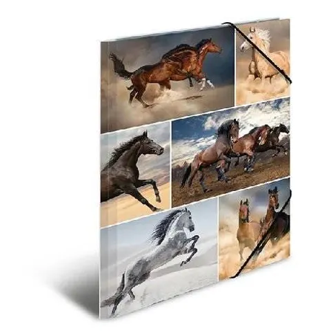 HERMA Sammelmappe A4 Katzen Pappe – Bild 2