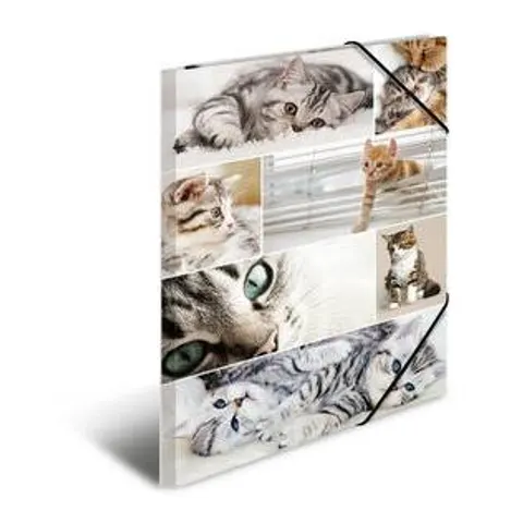 HERMA Sammelmappe A3 Katzen Pappe – Bild 2