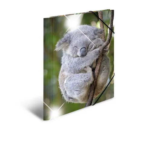 HERMA Sammelmappe A4 Glossy Koala Polypropylen – Bild 2