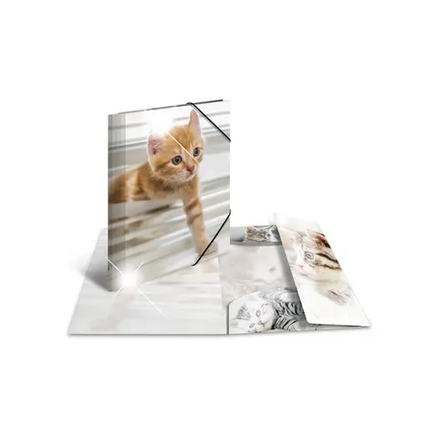 HERMA Sammelmappe A4 Glossy Katze Polypropylen – Bild 2