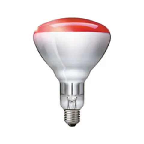 Philips Infrared 250w Ir250rh Br125 E27 Rot – Bild 4