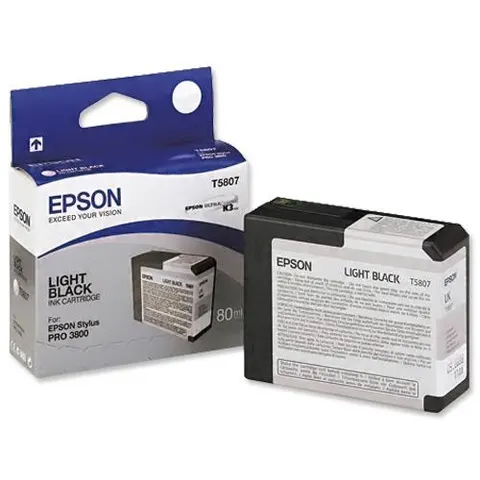 Epson Singlepack Light Black T580700 – image 2