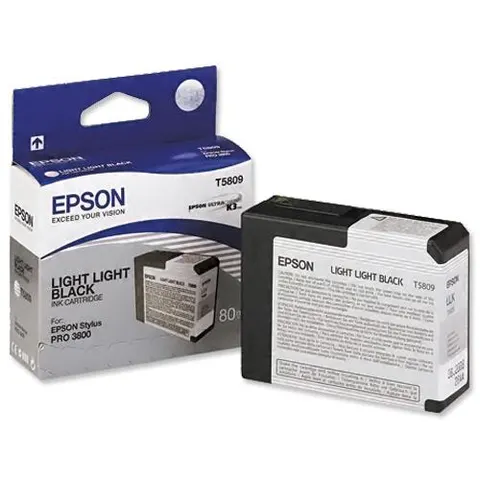 Epson Singlepack Light Black T580900 – image 2