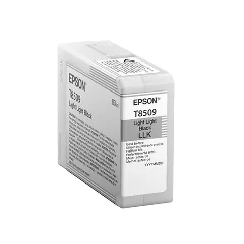 Epson Singlepack Light Black T850900 – image 2