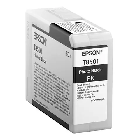 Epson Singlepack Photo Black T850100 – image 3