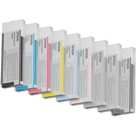 Epson Singlepack Light Cyan T606500 220 ml – image 2