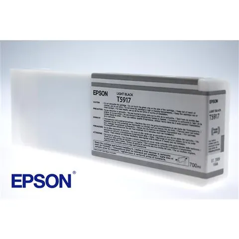 Epson Singlepack Light Black T591700 – image 2