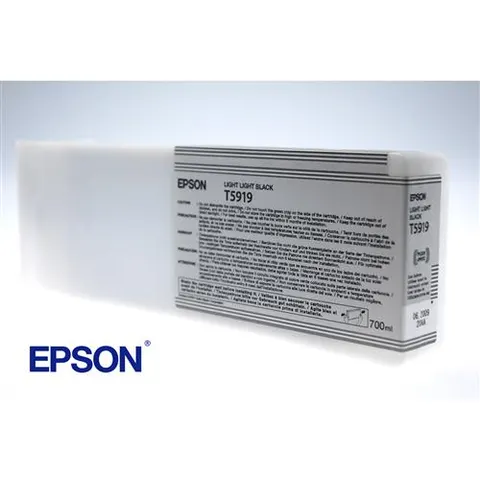 Epson Singlepack Light Black T591900 – image 2
