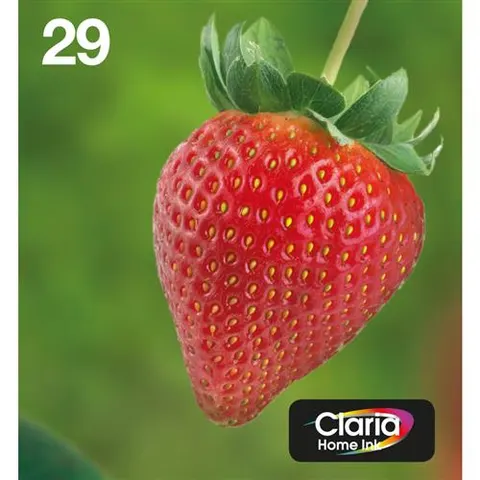 Epson Strawberry Multipack 4-colours 29 EasyMail – image 3