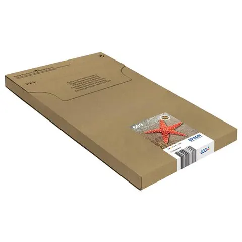 Epson Multipack 3-colours 603 EasyMail – image 2