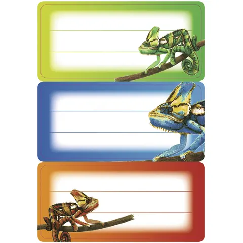 HERMA Schuletiketten Gecko – Bild 2
