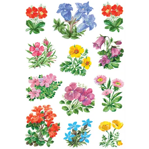 HERMA Aufkleber Blumen – 3582 – Bild 2