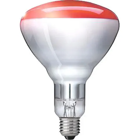 Philips Infrared 250w Ir250rh Br125 E27 Rot – Bild 2