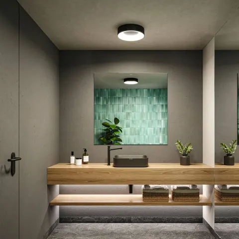 Paulmann Ceiling Light Casca, dimmable, Black, Bathroom, metal, Modern, Ceiling Light – image 2
