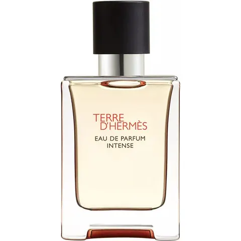 50ml HERMÈS Terre d’Hermès Eau de Parfum Intense Refillable – Bild 3