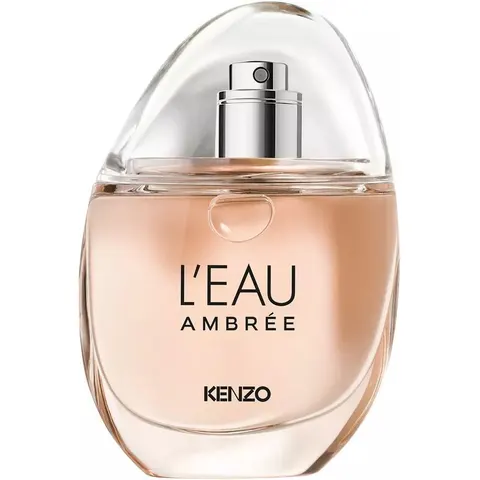 Kenzo L'Eau Ambrée Eau de Parfum 50 ml – Bild 3
