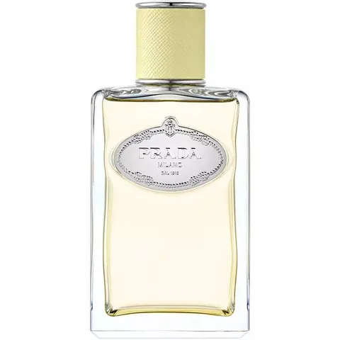 Prada Infusion De Gingembre Eau De Parfum 100 ml – Bild 3