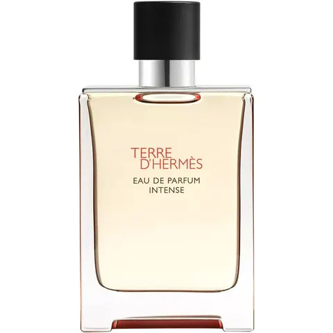 100ml HERMÈS Terre d’Hermès Eau de Parfum Intense Refillable – Bild 3