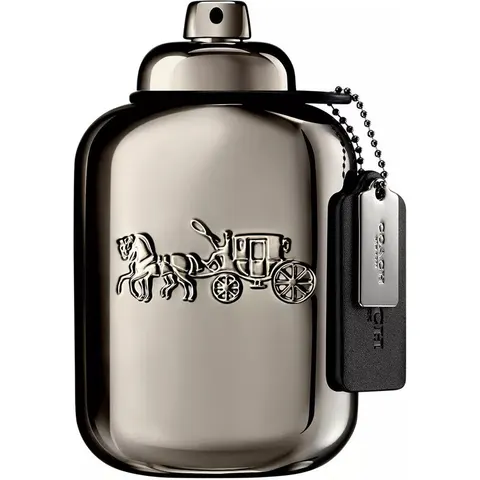 Coach Pure Platinum Parfum 100 ml – Bild 2