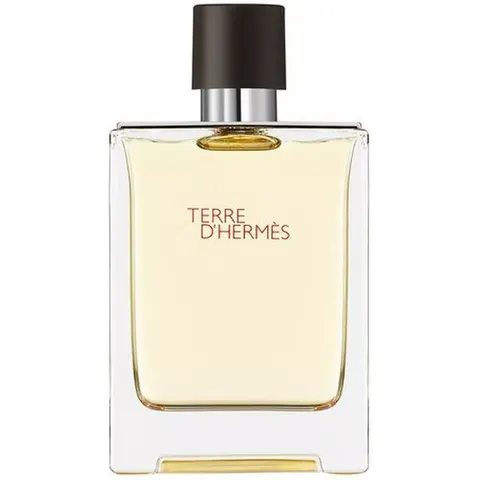 100ml HERMÈS Terre d’Hermès Eau de Toilette – Bild 4
