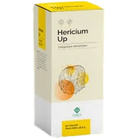 Gheos Hericium Up 90 Kapseln – Bild 2
