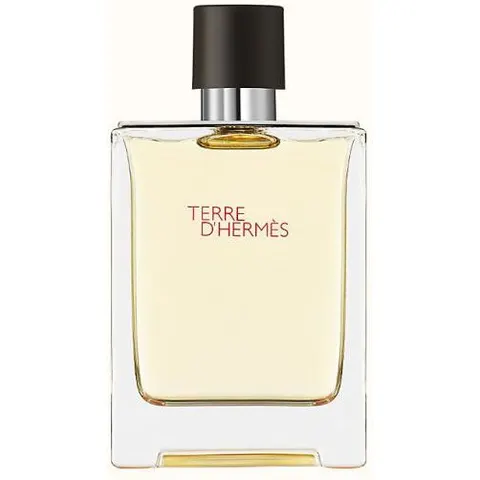 100ml HERMÈS Terre d’Hermès Eau de Toilette – Bild 3