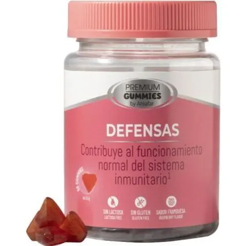 Premium Gummies Abwehrstoffe 60 Gummies – Bild 2