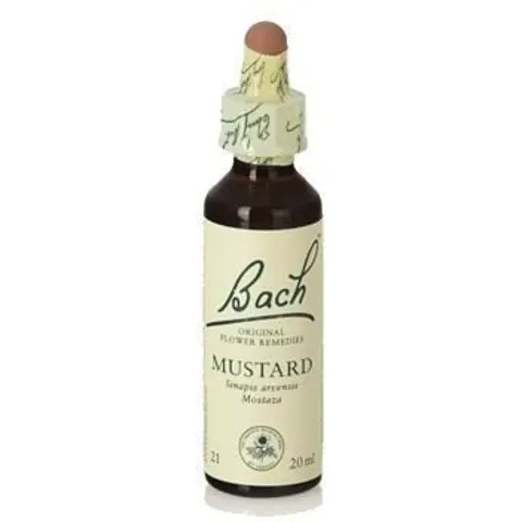 Original Flower Essences Bach 21 Senf 20 ml – Bild 2
