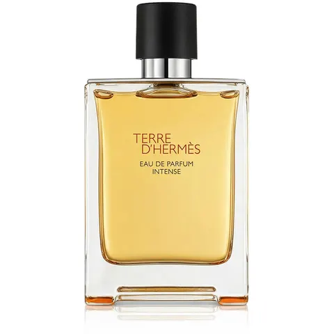 Hermès Terre D' Eau de Parfum Intense 100mL – image 2