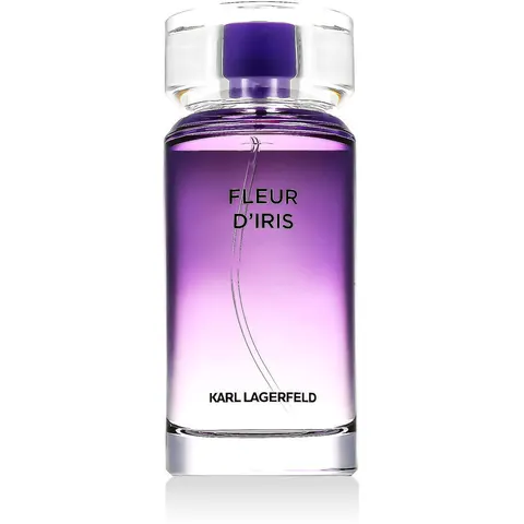 Karl Lagerfeld Fleur D'Iris EDP W 100 ml – image 2