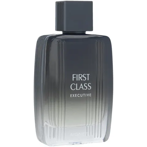 Etienne Aigner First Class Executive EDT M 100 ml – image 2