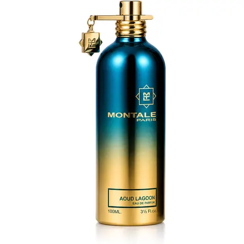 Montale Aoud Lagoon Eau de Parfum 100ml – image 2