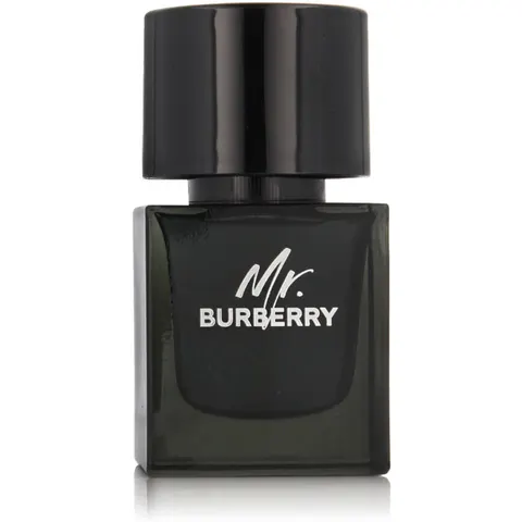 BURBERRY Mr – image 2